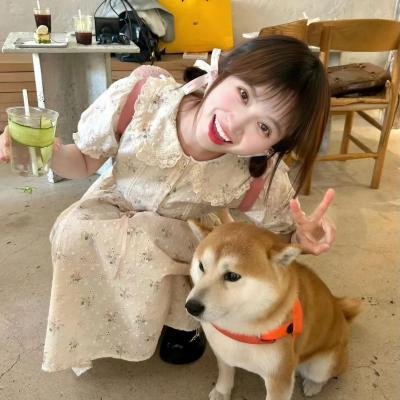 小鸡快跑